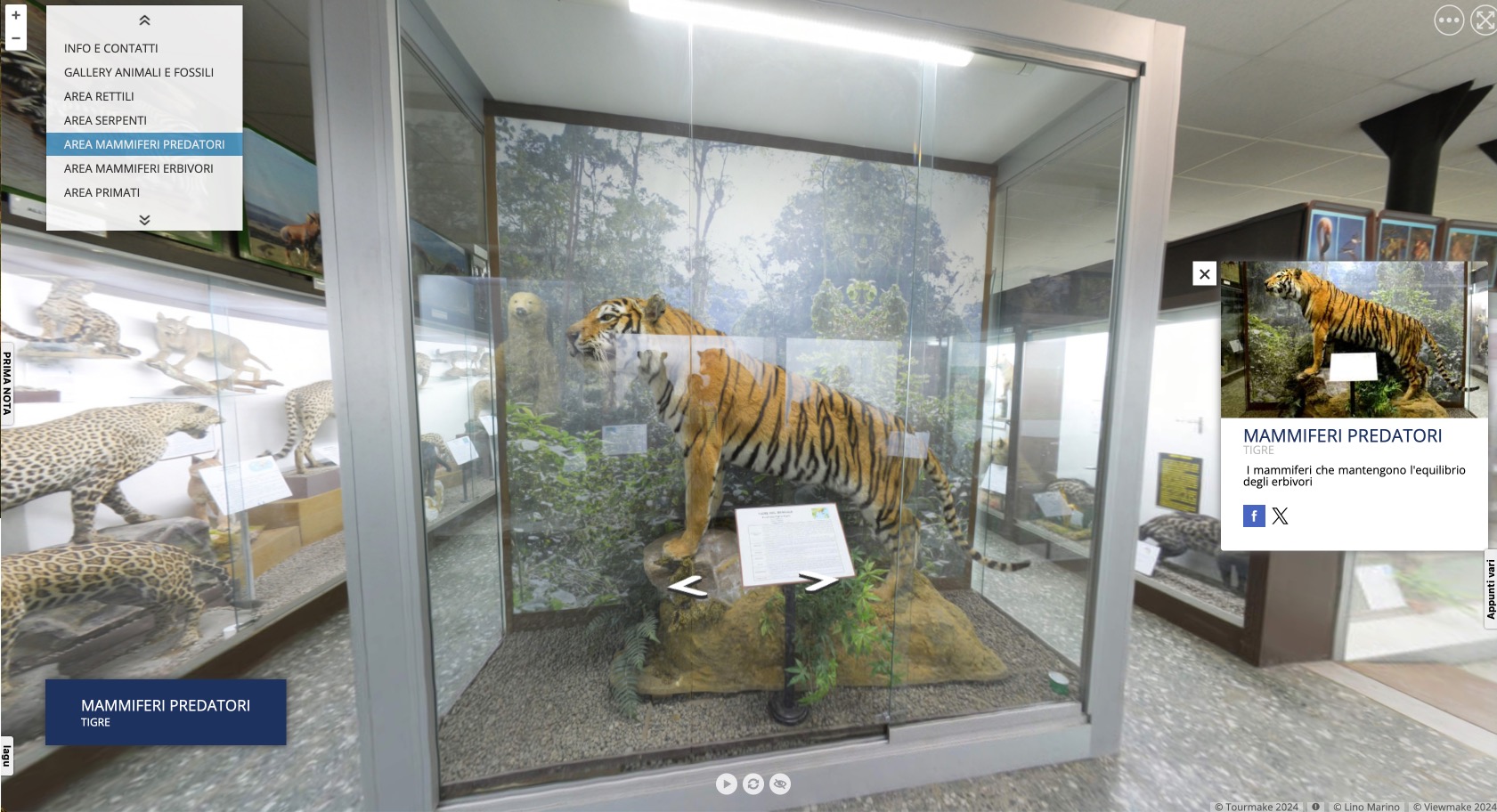Teca centrale con tigre imbalsamata, teche laterali con altri mammiferi predatori